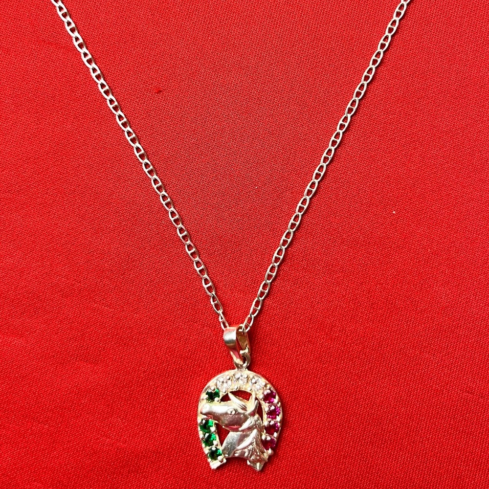 Elegant strling Silver Necklace with‎ Multicolor Pendant and chain